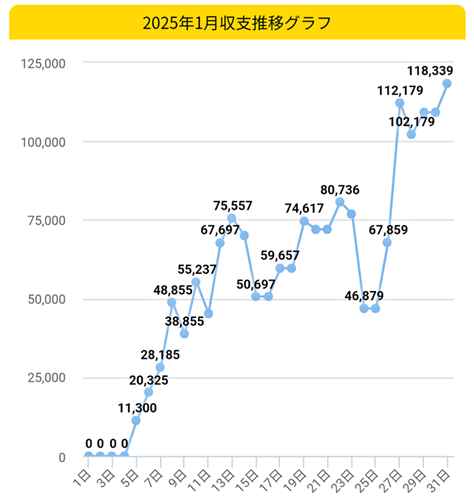 2025.1月収支グラフ